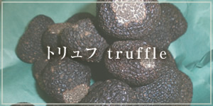 トリュフ truffle